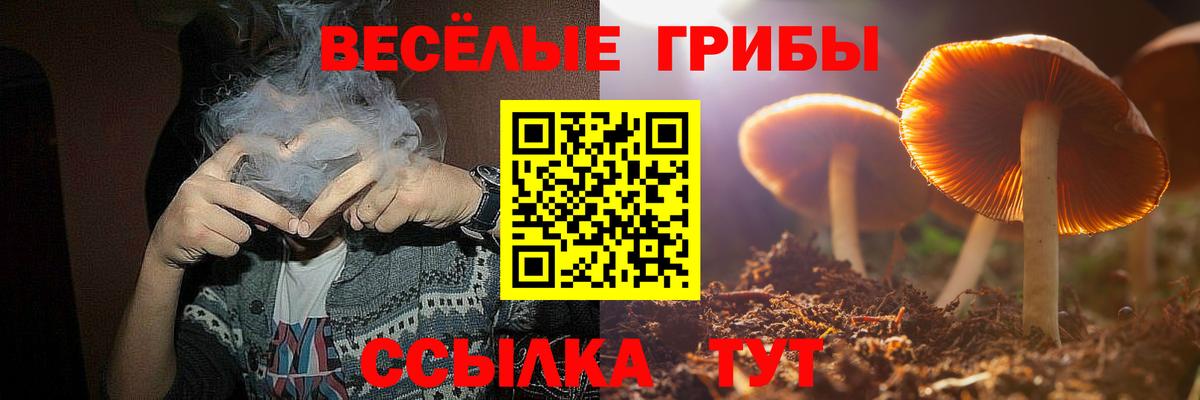 Псилоцибиновые грибы мицелий Черногорск